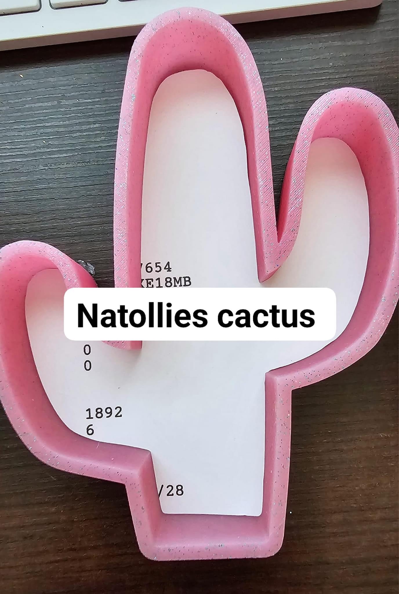 Natollies cactus small