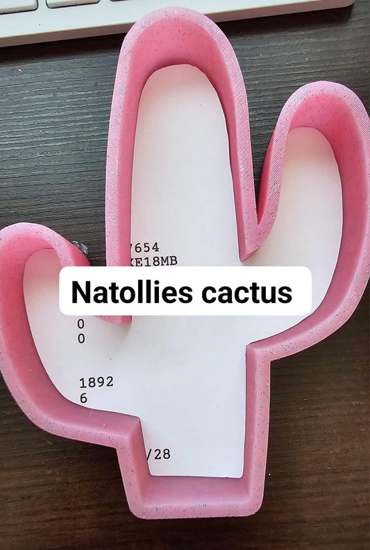 Natollies cactus small
