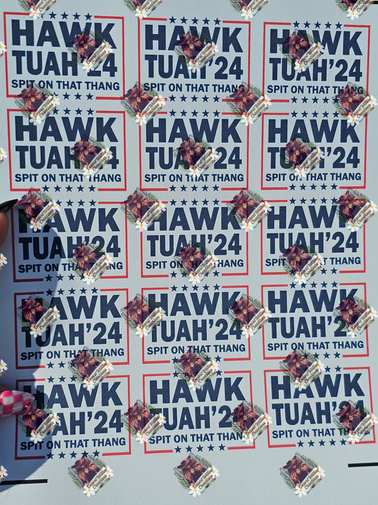 Hawk patches for trucker hat